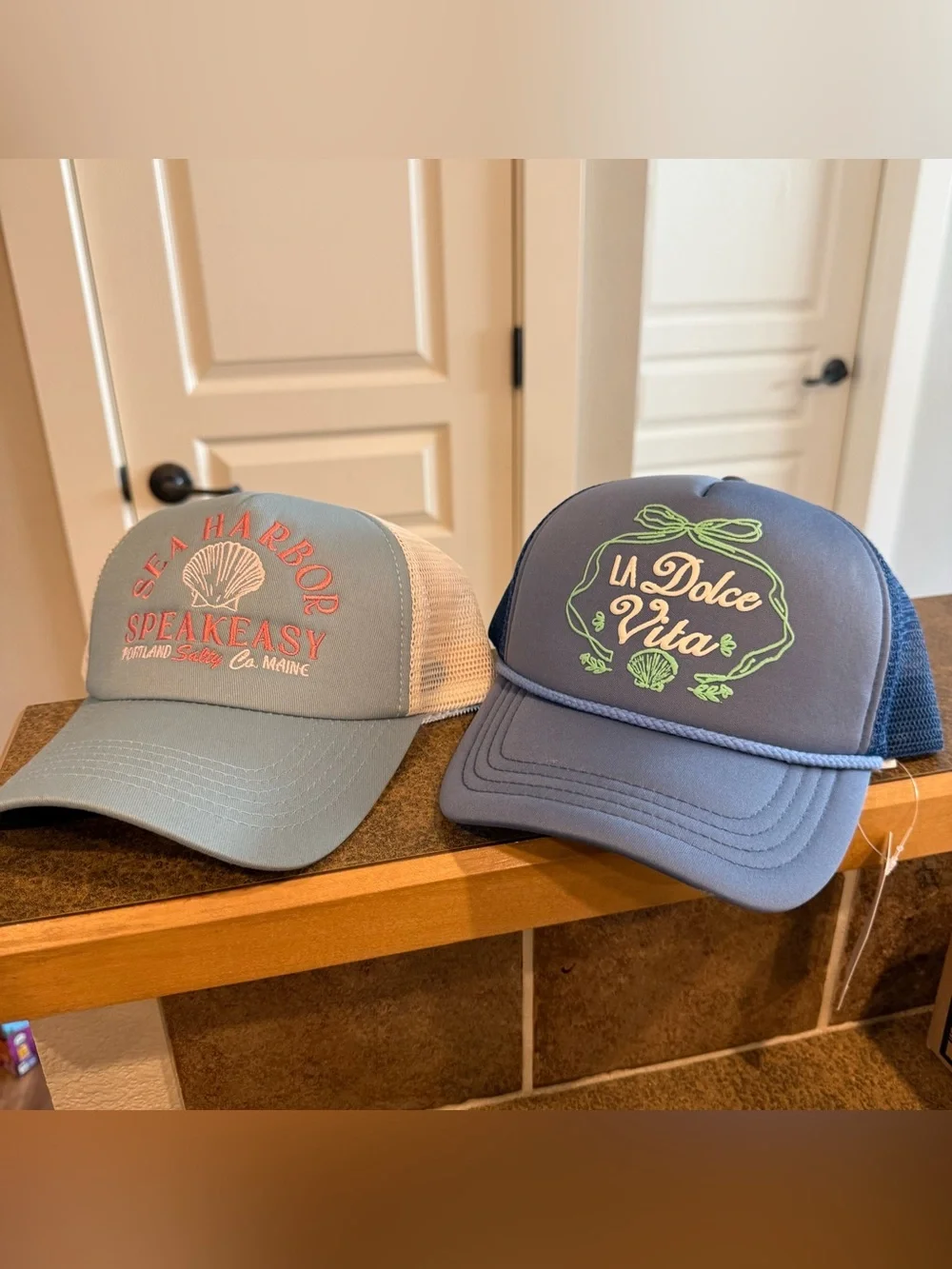 NWT Anthropologie Blue La Dolce Vita Trucker Hat